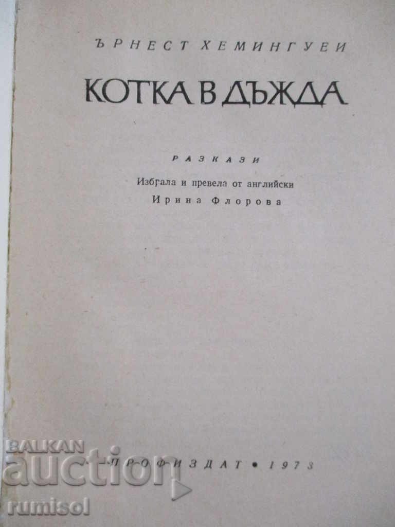 Pisica în ploaie - Ernest Hemingway cu preț € 1.49 | 2.91 BGN
