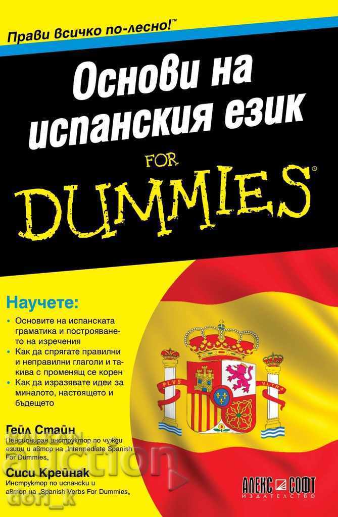 Basics of the Spanish language for Dummies