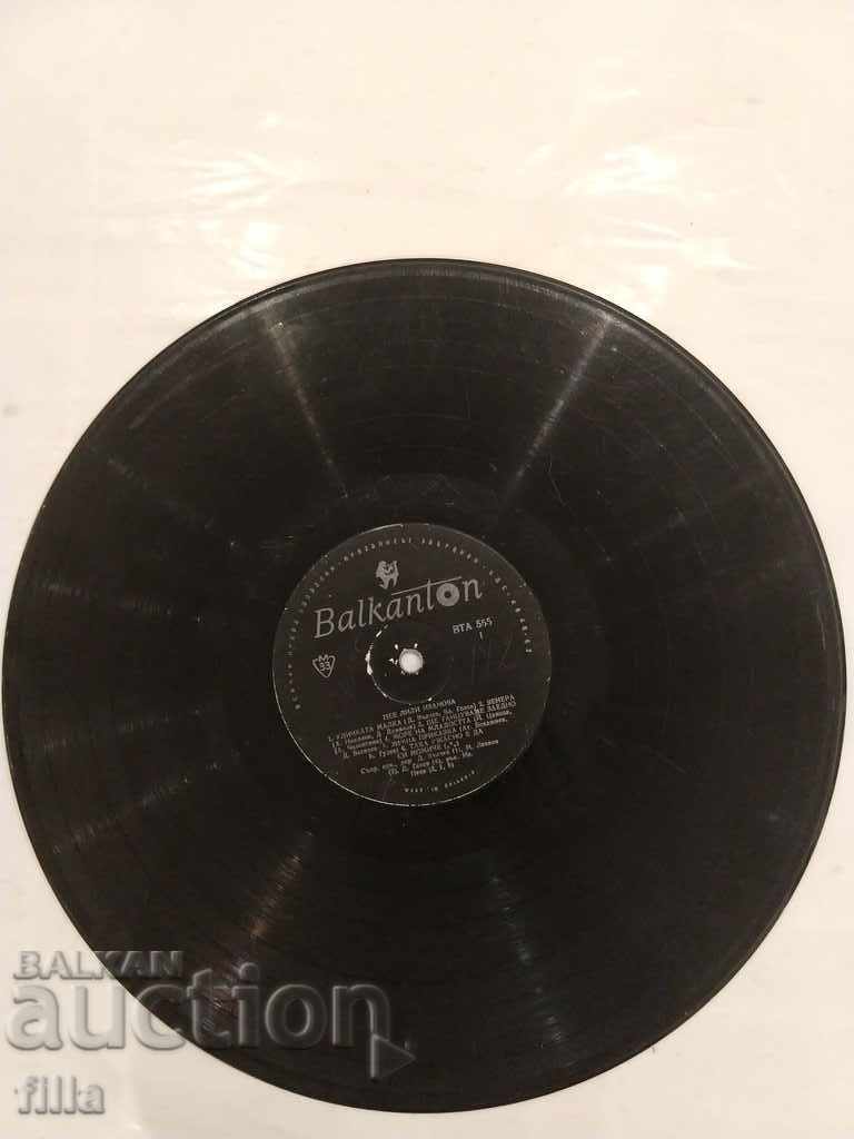 Auction  Slab, Pee Lily Ivanova, VTA 555, Without Cover