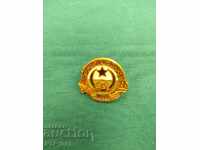 badge- ALGERIA