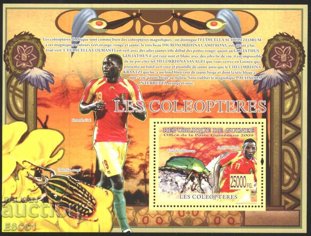 Clean Block Fauna Insects Beetles Sports Football 2008 Guinea