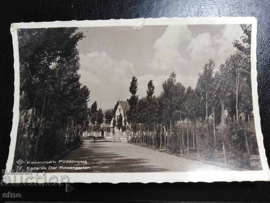 Kazanlak Rosarium, old Royal postcard