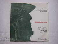 Disc gramofon - format mediu - VHN 1029 - Adv. cântece