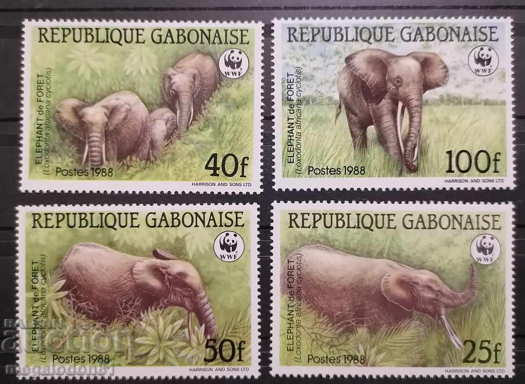 Γκαμπόν - WWF, δασικός ελέφαντας