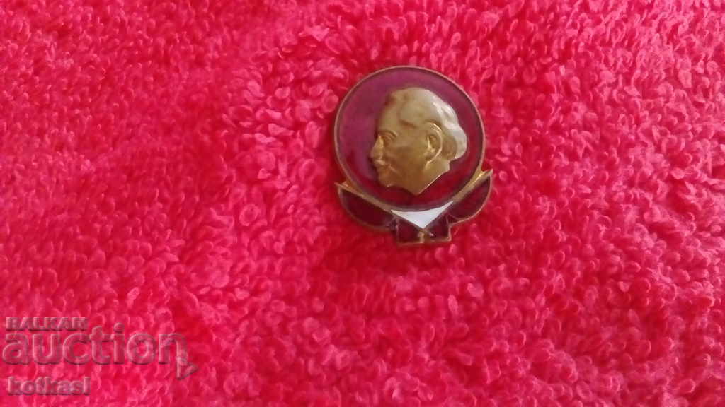 Livrarea Veche insignă insignă bronz email Georgi Dimitrov excelent
