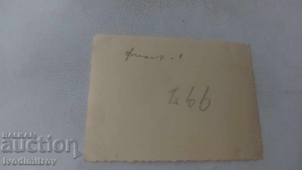 Photo Spouses on the lawn with price 1.35 BGN | € 0.69 Photo Spouses on the lawn with price 1.35 BGN | € 0.69