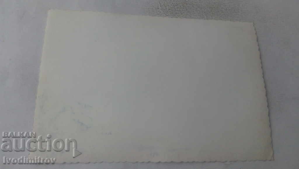 Photo The whole company in the water with price 2.35 BGN | € 1.20 Photo The whole company in the water with price 2.35 BGN | € 1.20