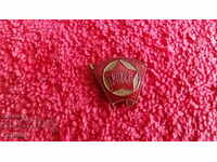 Old bronze badge enamel VLKSM badge