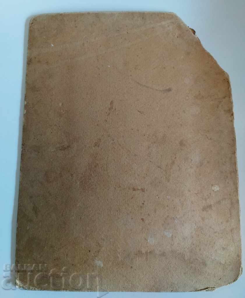 Delivery of CARRIER CARRIERS SETRE CLASSROOM BELT PHOTO PHOTO CARDBOARD