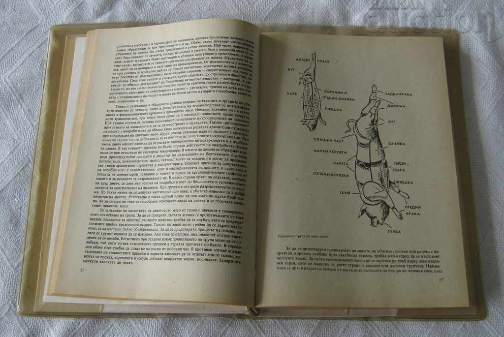 Auction HUNTING AND FISHING KITCHEN YORDANOV / CHORTANOVA 1976 Auction HUNTING AND FISHING KITCHEN YORDANOV / CHORTANOVA 1976