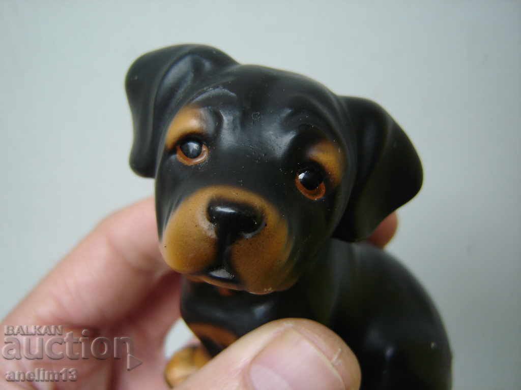 OLD PORCELAIN ROTTWEILER ROYAL - 6