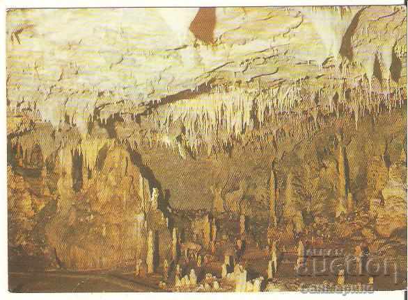 Harta Bulgaria Snezhanka Cave 4 *