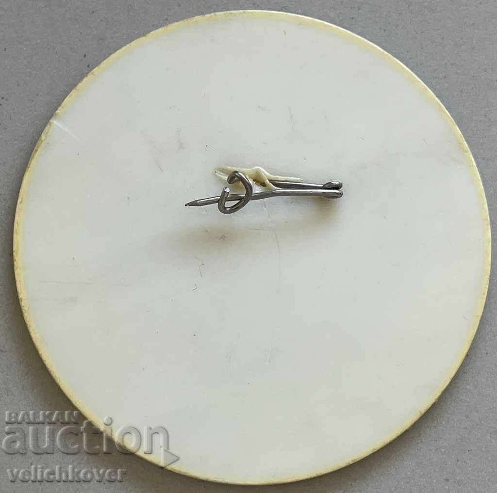 30114 Bulgaria sign Children's Assembly Flag of Peace 1979 with price 3.00 BGN | € 1.53 30114 Bulgaria sign Children's Assembly Flag of Peace 1979 with price 3.00 BGN | € 1.53