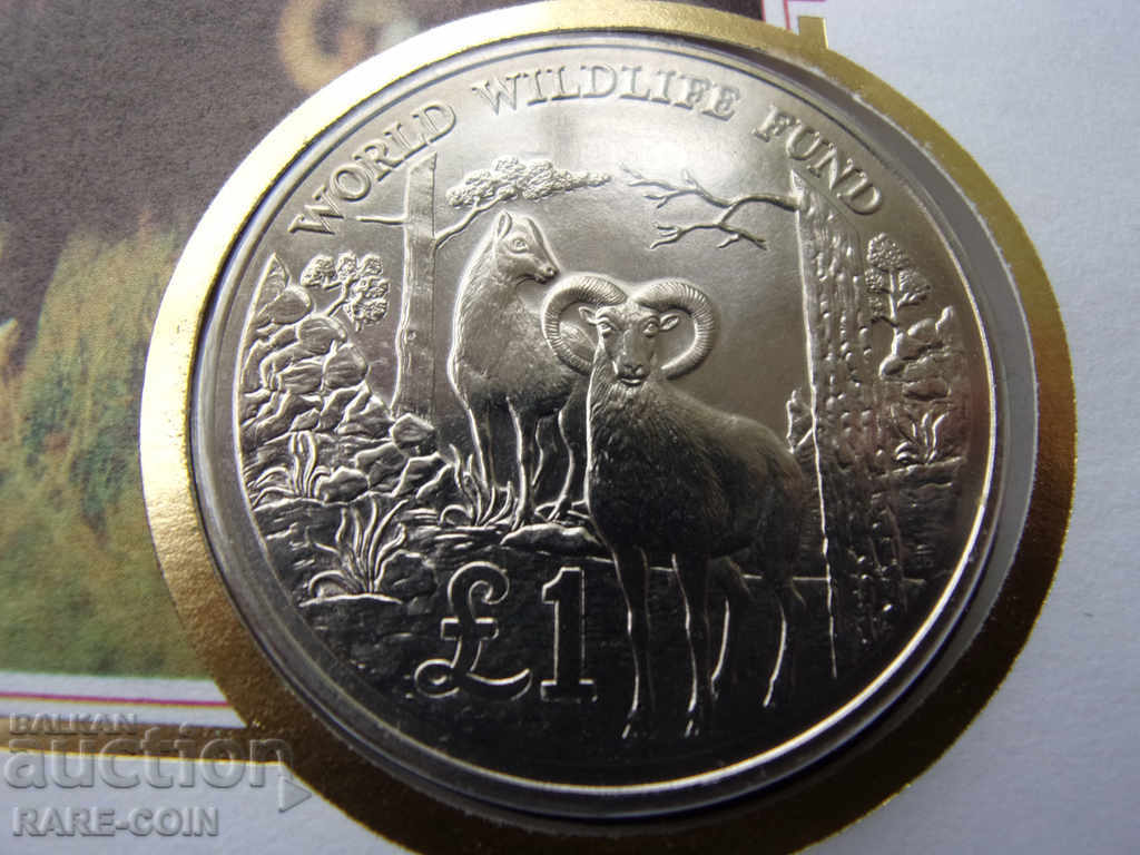 RS (27) Cyprus NUMISBRIEF 1 Pound 1986 PROOF UNC Rare with price € 28.12 | 55.00 BGN