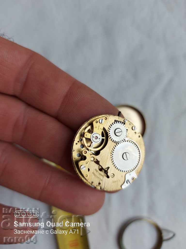 Delivery of SWITZERIAN JUNIOR CHASON Delivery of SWITZERIAN JUNIOR CHASON