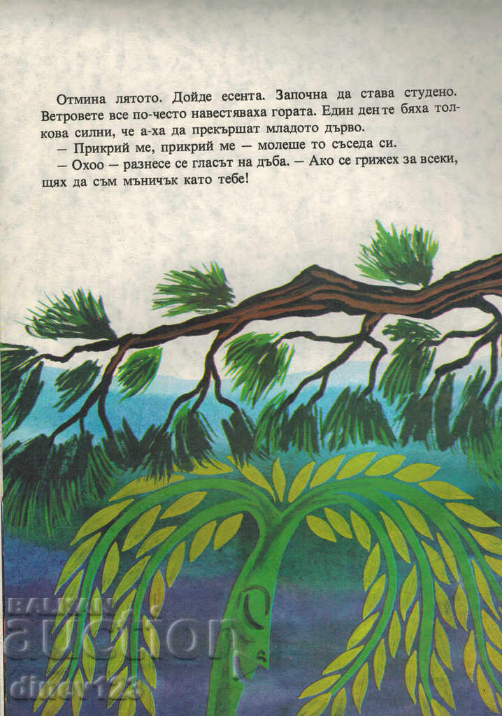 Auction GRANDFATHER OF GRANDFATHER DINKO - VELUNA YAVORSKA Auction GRANDFATHER OF GRANDFATHER DINKO - VELUNA YAVORSKA