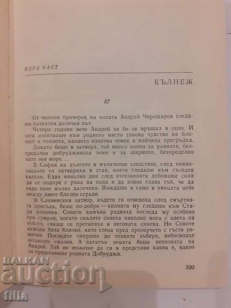 Land Transformed - Peter Slavinski with price 0.90 BGN | € 0.46