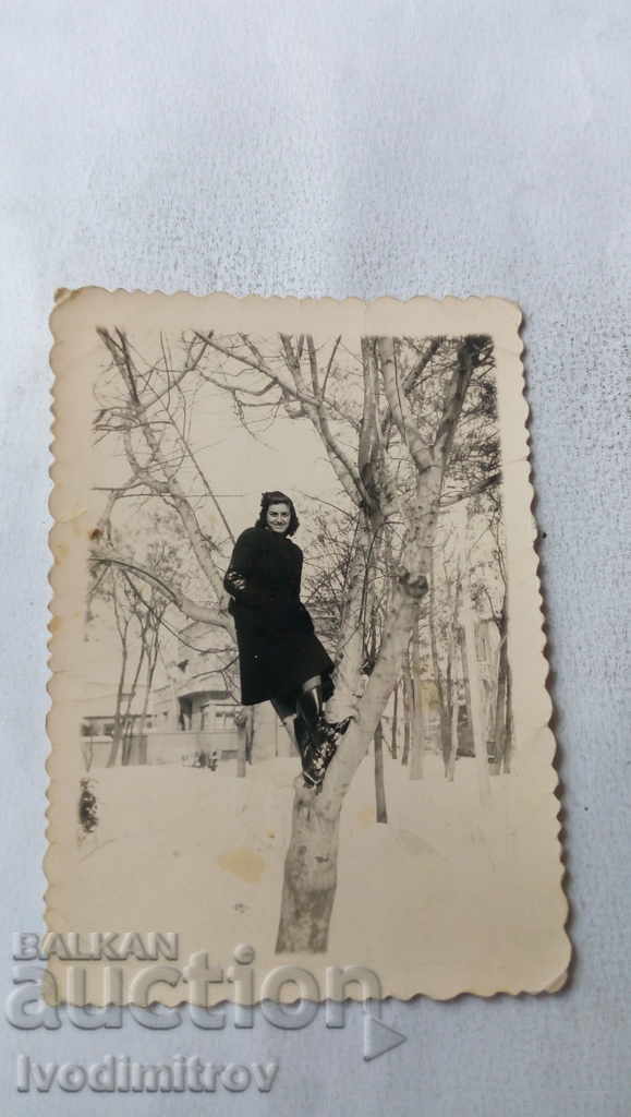 Photo Haskovo Girl on the tree 1943