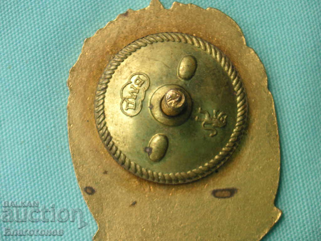 Παράδοση Σήμα αριστείας για δραστηριότητα στο κέντρο της κοινότητας Παράδοση Σήμα αριστείας για δραστηριότητα στο κέντρο της κοινότητας