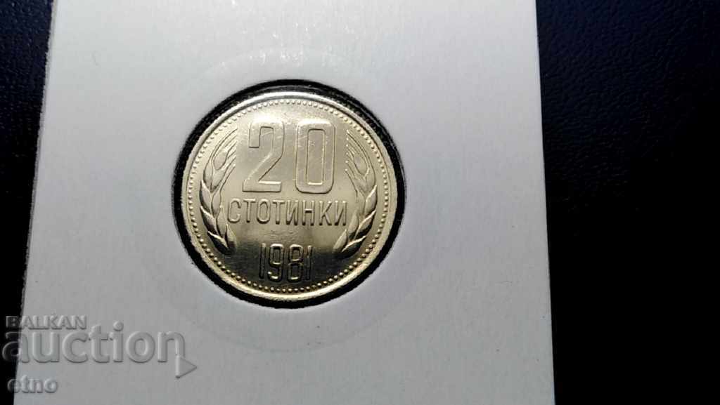 Delivery of 20 HUNDREDS 1981 IN EXCELLENT COLLECTION CONDITION! Coin