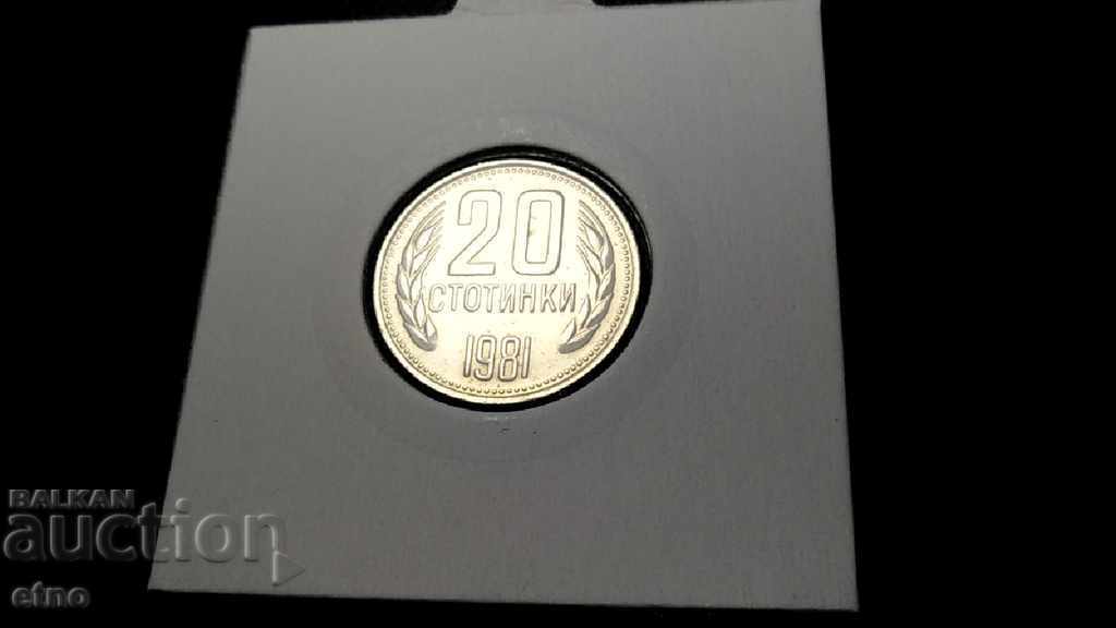20 HUNDREDS 1981 IN EXCELLENT COLLECTION CONDITION! Coin - 5