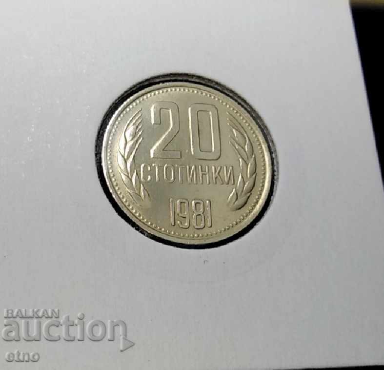 20 HUNDREDS 1981 IN EXCELLENT COLLECTION CONDITION! Coin - 7