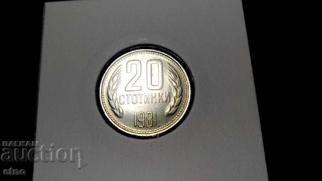 20 HUNDREDS 1981 IN EXCELLENT COLLECTION CONDITION! Coin