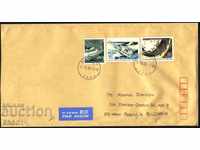 Traveled envelope with stamps Letter Week 2019 2020 from Japan