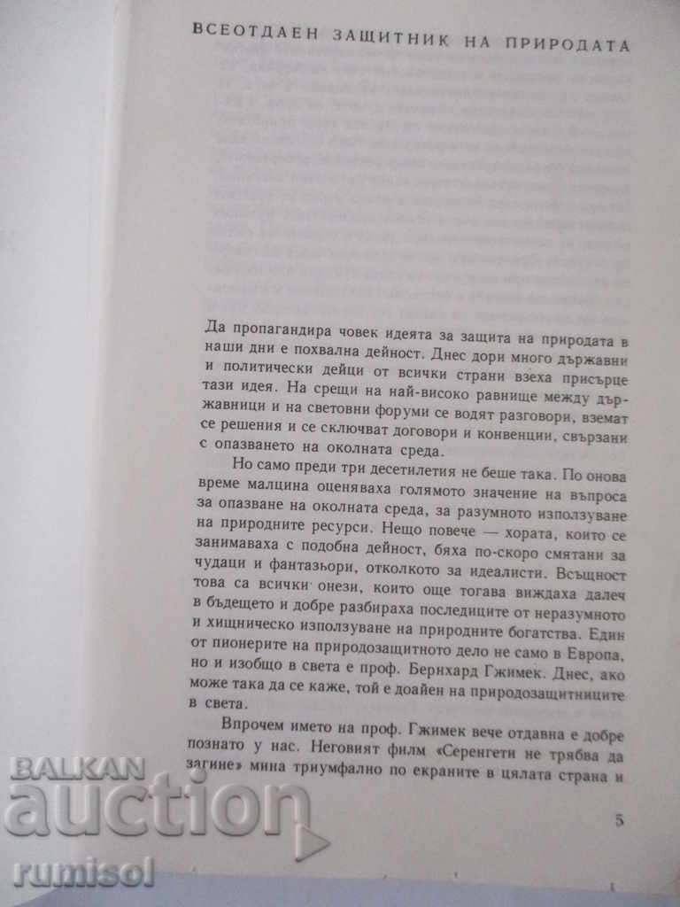 Auction Among the animals of Africa - Bernhard Gimek Auction Among the animals of Africa - Bernhard Gimek