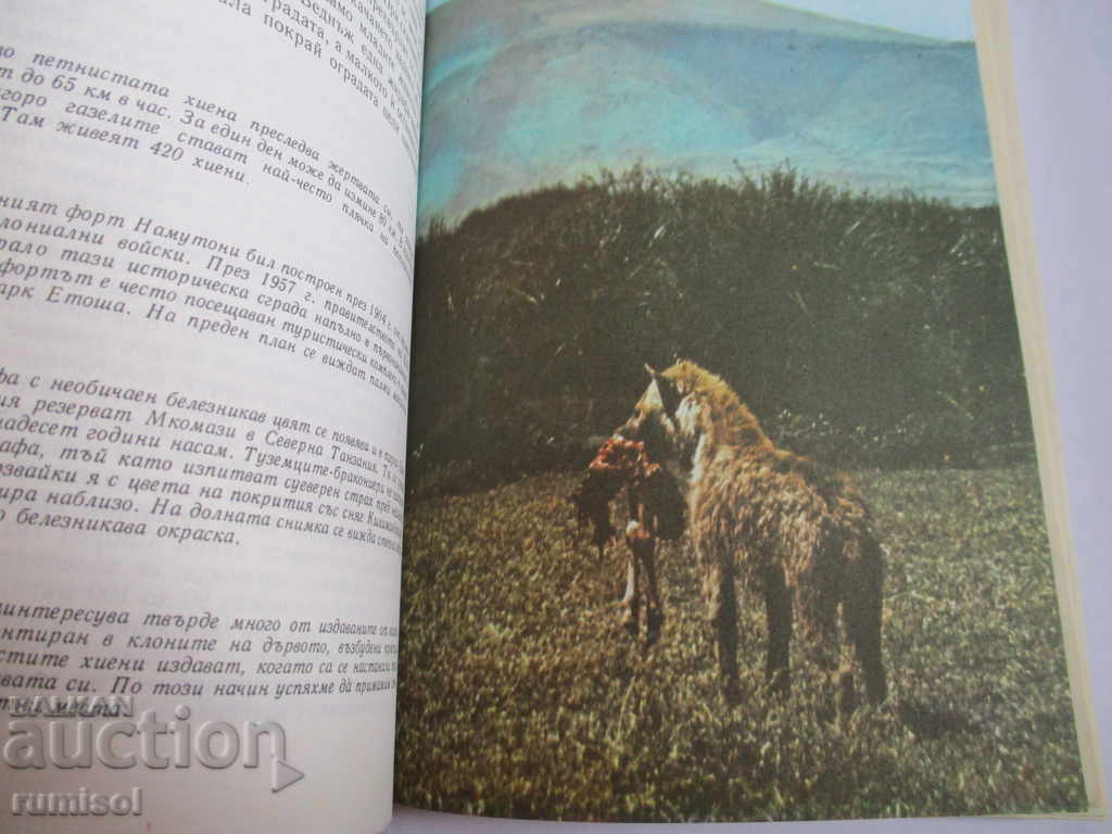 Delivery of Among the animals of Africa - Bernhard Gimek Delivery of Among the animals of Africa - Bernhard Gimek