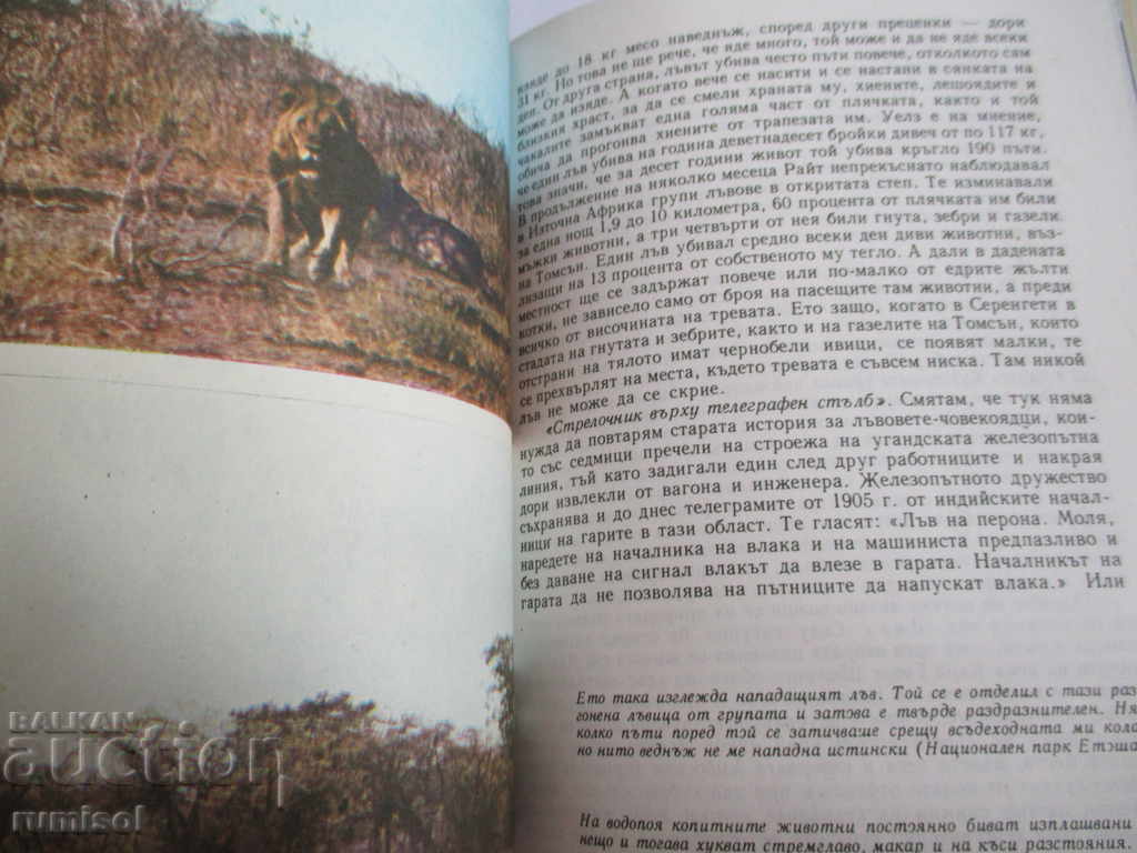 Among the animals of Africa - Bernhard Gimek - 5 Among the animals of Africa - Bernhard Gimek - 5