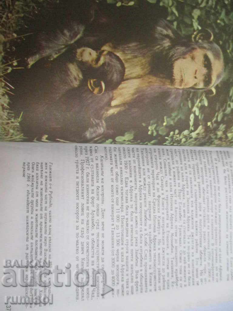 Among the animals of Africa - Bernhard Gimek - 6 Among the animals of Africa - Bernhard Gimek - 6