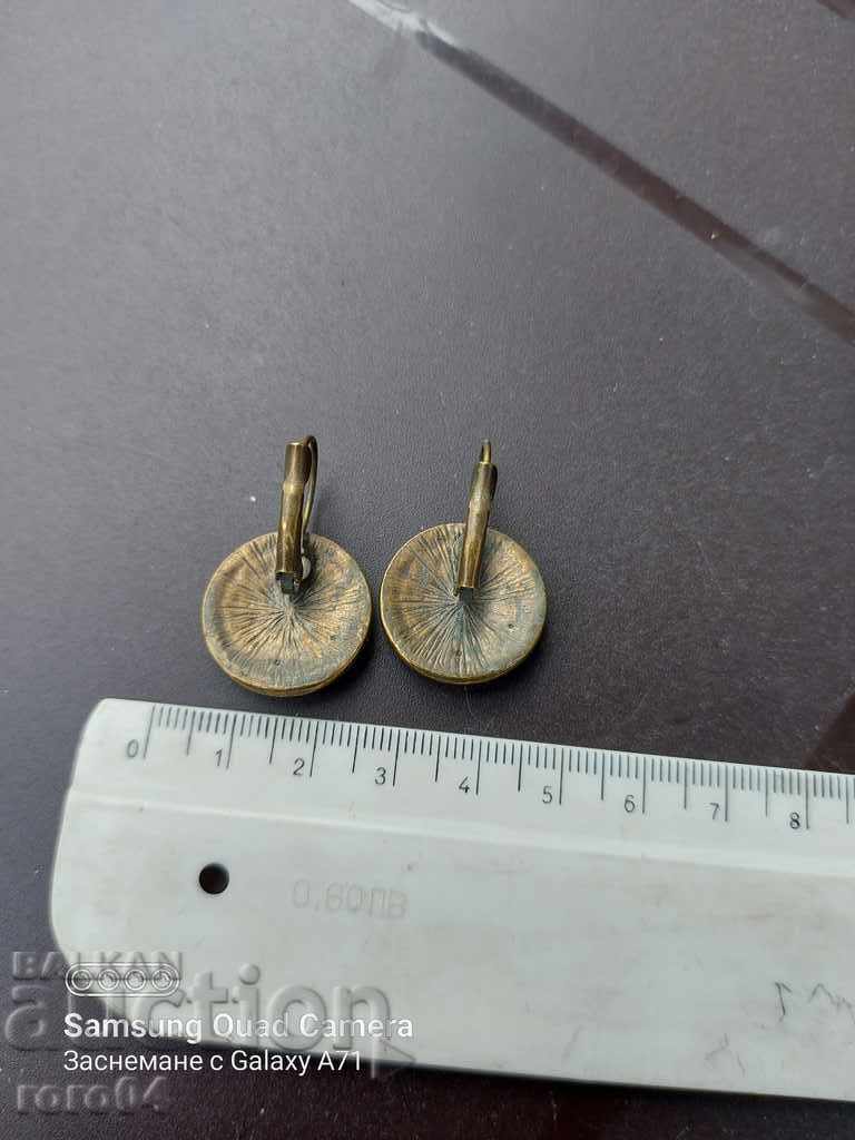 SHORTS - 5 SHORTS - 5