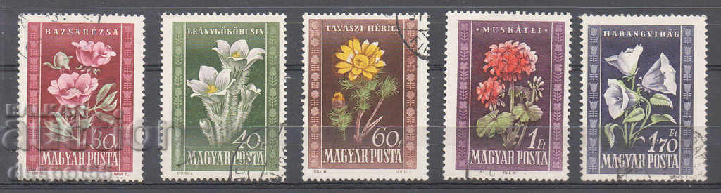 1950. Hungary. Hungarian flora.