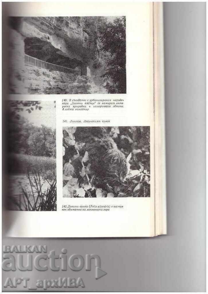 Auction OASES OF WILDLIFE. Author: Zheko Spiridonov. Auction OASES OF WILDLIFE. Author: Zheko Spiridonov.
