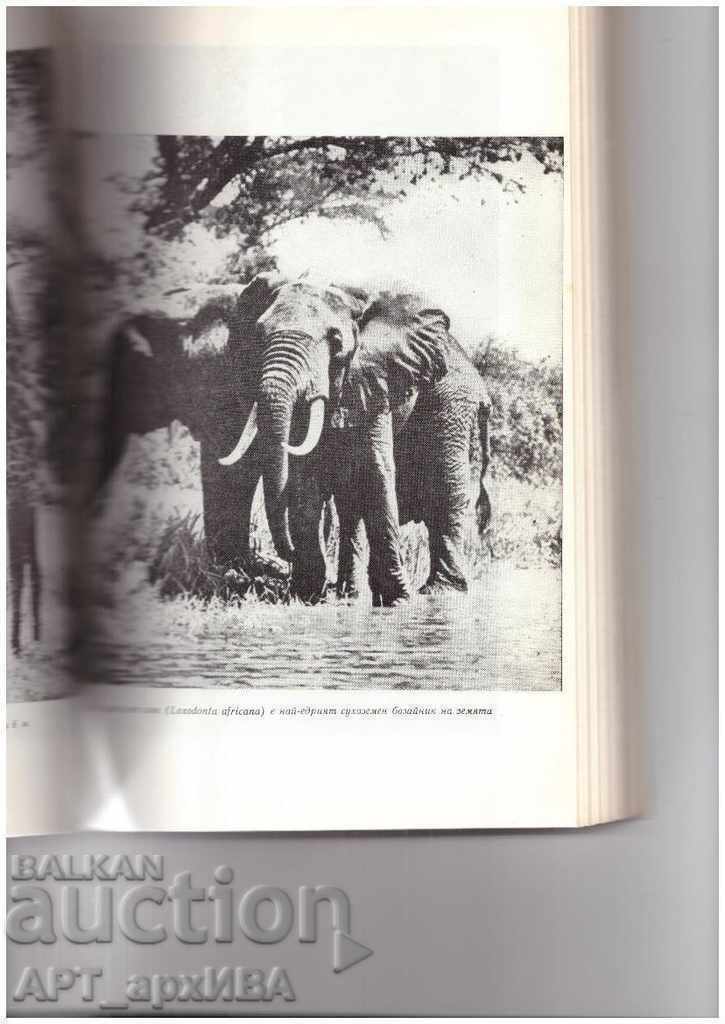 Delivery of OASES OF WILDLIFE. Author: Zheko Spiridonov. Delivery of OASES OF WILDLIFE. Author: Zheko Spiridonov.