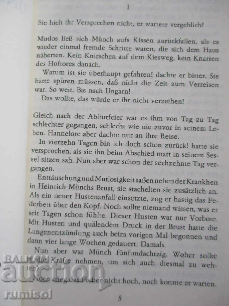 Auction Unsolvable Zügel - Christa Giessler Auction Unsolvable Zügel - Christa Giessler