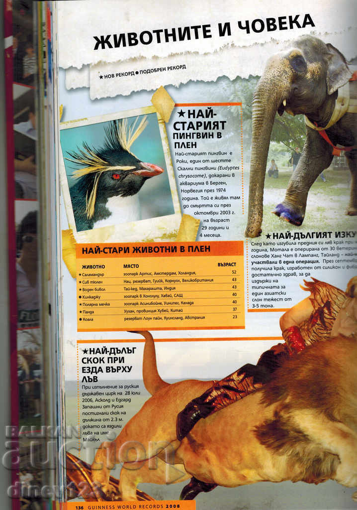 Auction  GUINESE RECORDS