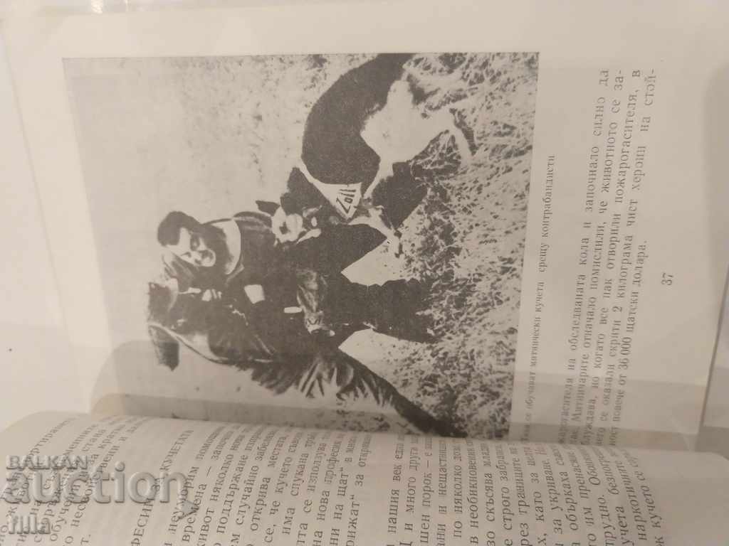 Delivery of In the wonderful world of animals - Mr. Sveshtarov Delivery of In the wonderful world of animals - Mr. Sveshtarov