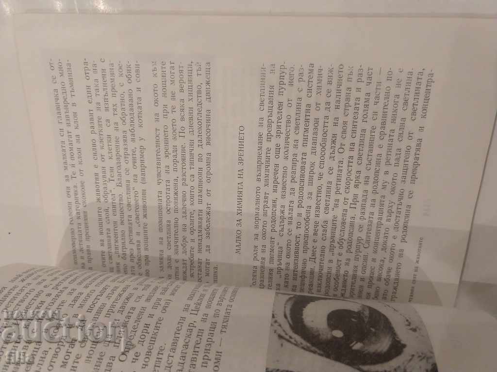 In the wonderful world of animals - Mr. Sveshtarov - 5 In the wonderful world of animals - Mr. Sveshtarov - 5