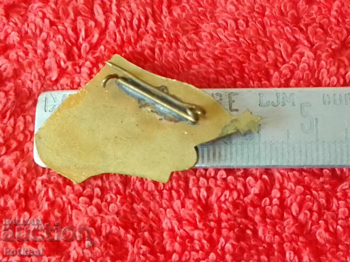 Old Badge bronze enamel For labor activity CC of DSNM with price 21.00 BGN | € 10.74