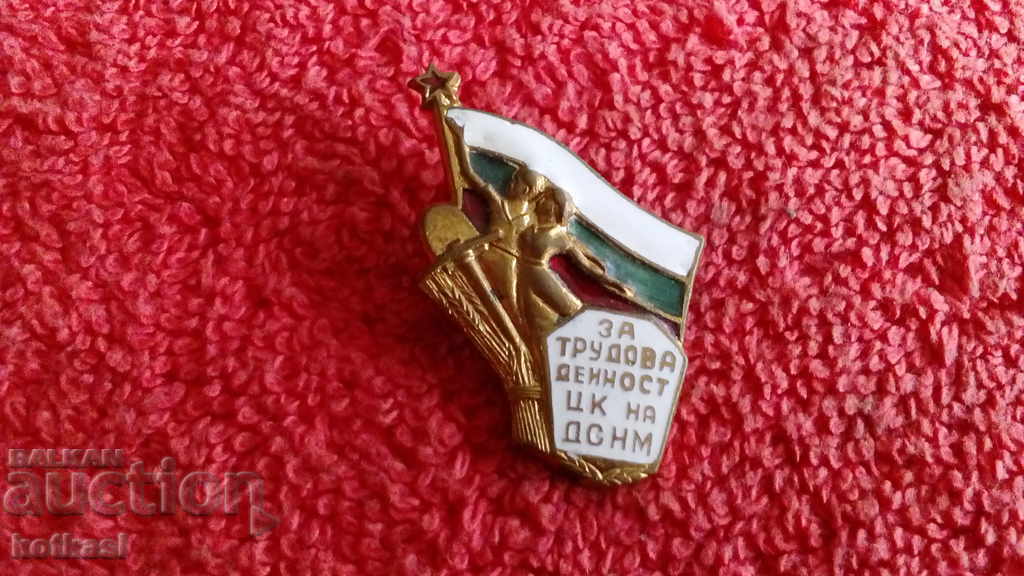Δημοπρασία Old Badge χάλκινο σμάλτο Για εργασιακή δραστηριότητα CC του DSNM Δημοπρασία Old Badge χάλκινο σμάλτο Για εργασιακή δραστηριότητα CC του DSNM