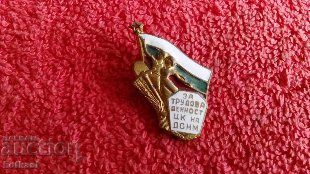 Delivery of Old Badge bronze enamel For labor activity CC of DSNM