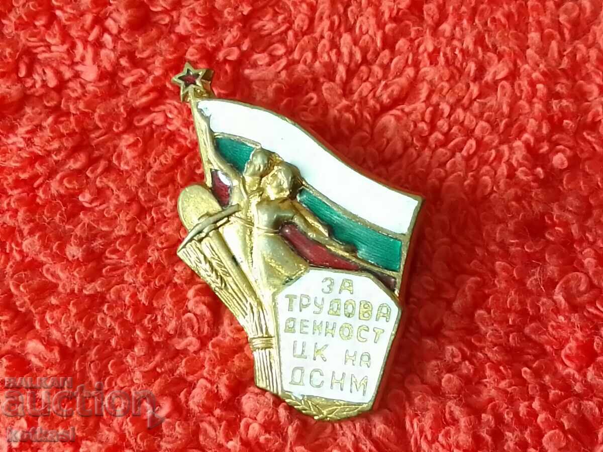 Old Badge bronze enamel For labor activity CC of DSNM - 6