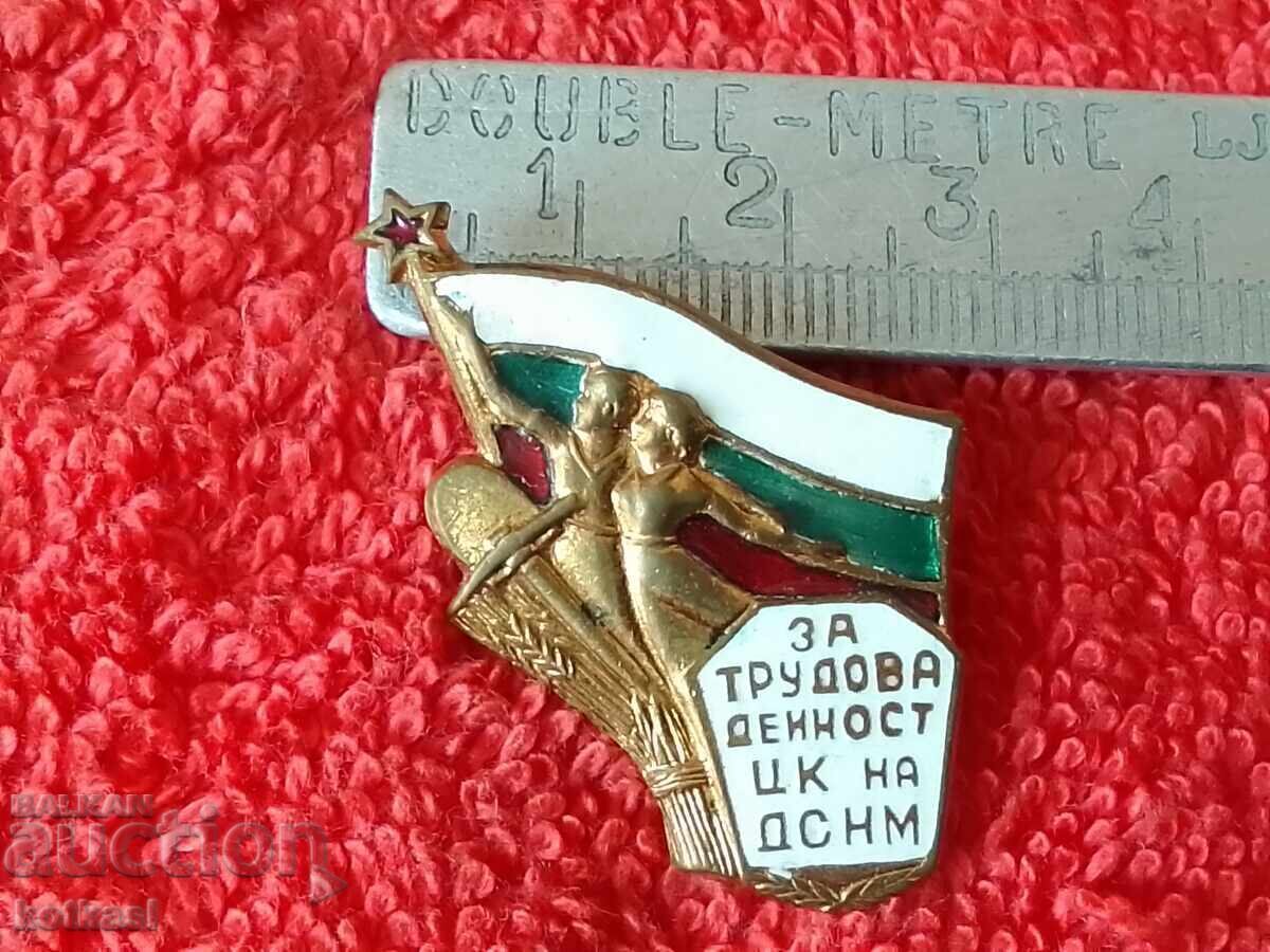 Old Badge χάλκινο σμάλτο Για εργασιακή δραστηριότητα CC του DSNM Old Badge χάλκινο σμάλτο Για εργασιακή δραστηριότητα CC του DSNM