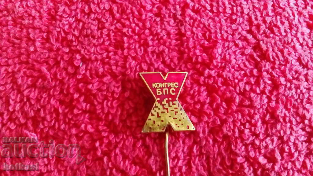 Auction  Old Badge Bronze Pin Enamel X Congress BPS Excellent