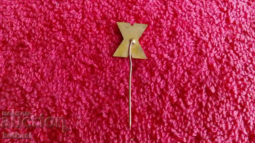 Delivery of Old Badge Bronze Pin Enamel X Congress BPS Excellent