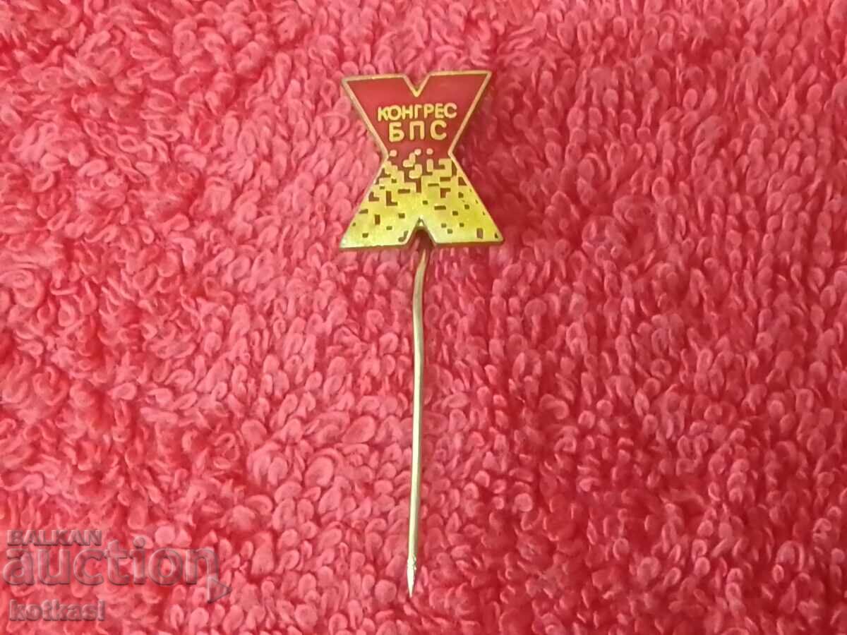 Old Badge Bronze Pin Enamel X Congress BPS Excellent - 5