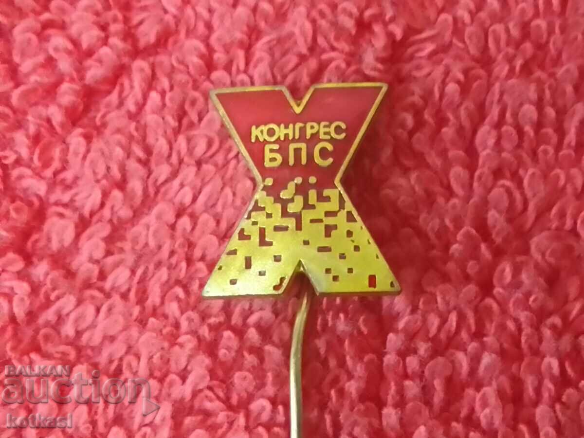Old Badge Bronze Pin Enamel X Congress BPS Excellent - 6