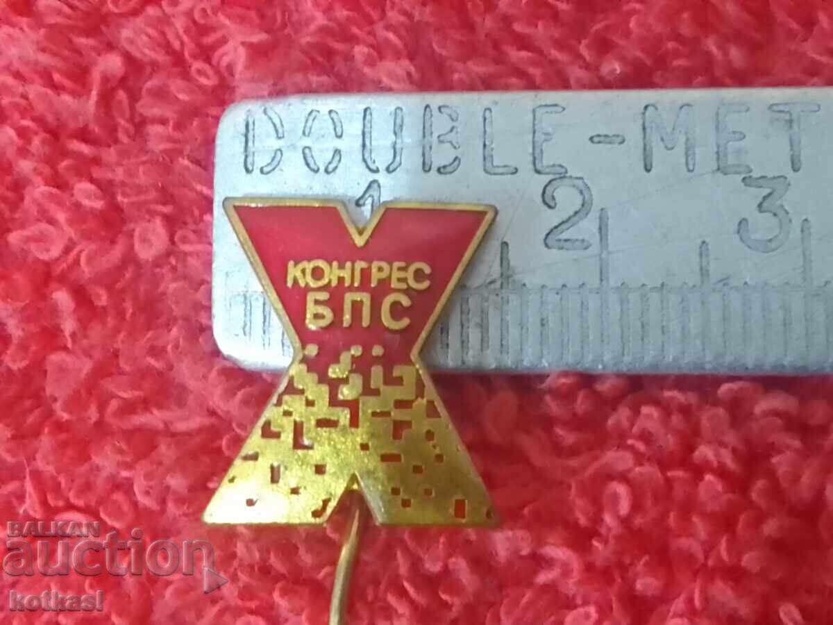 Old Badge Bronze Pin Enamel X Congress BPS Excellent